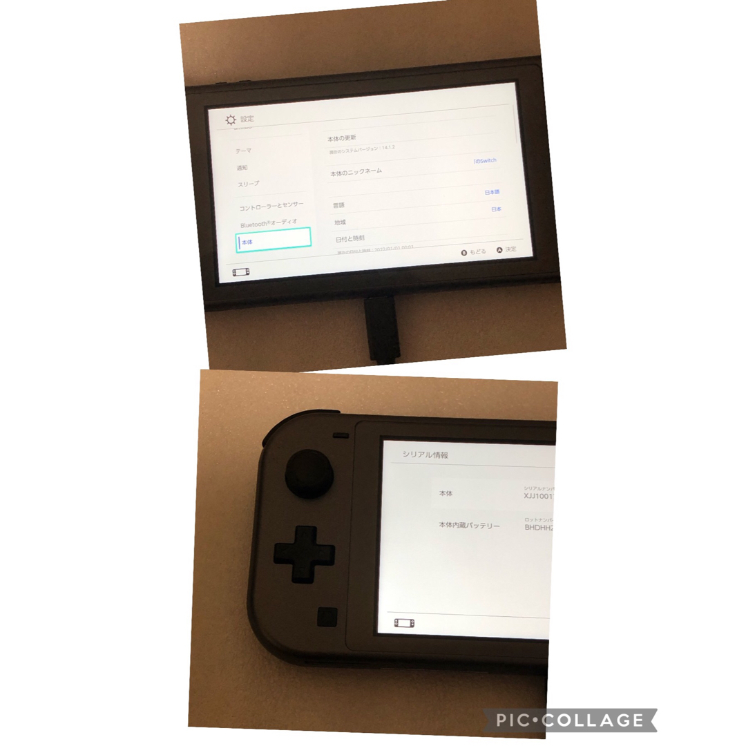 任天堂　Nintendo Switch Lite ディアルガ・パルキア 完品