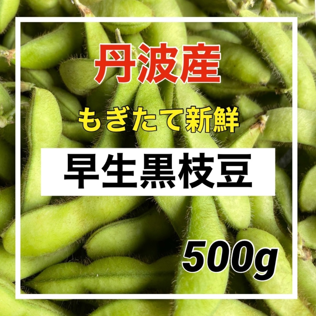 ついつい食べちゃう美味さ‼️丹波産　早生黒枝豆 食品/飲料/酒の食品(野菜)の商品写真