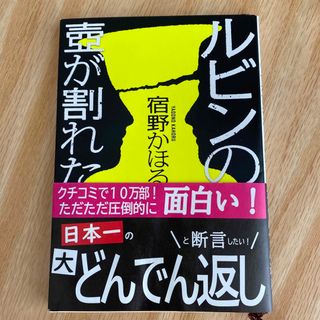 ルビンの壺が割れた(文学/小説)