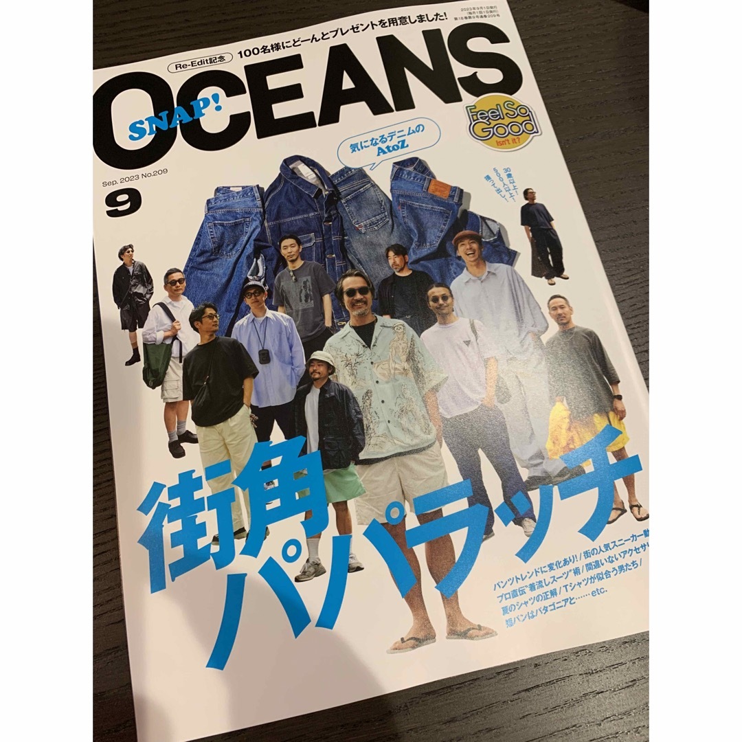 LIGHT HOUSE(ライトハウス)のOCEANS (オーシャンズ) 2023年 09月号 雑誌 エンタメ/ホビーの本(住まい/暮らし/子育て)の商品写真