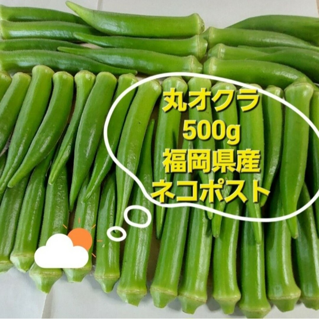 朝採れ新鮮丸オクラ500g 福岡県産の通販 by 四つ葉 |ラクマ 丸オクラ(朝採れ)500g 福岡県産