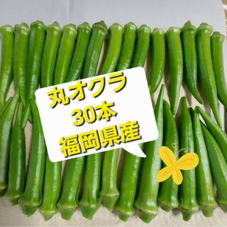 朝採れ新鮮丸オクラ　30本(野菜)