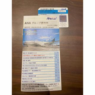 エーエヌエー(ゼンニッポンクウユ)(ANA(全日本空輸))のANA 全日空　株主優待券、グループ優待券(航空券)