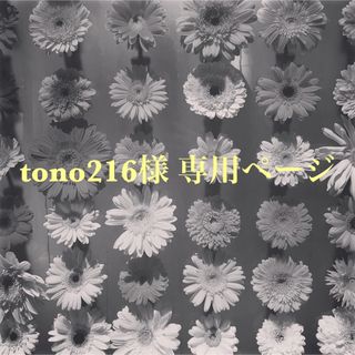 ⋆⸜ tono216様 専用ページ⸝⋆(リング)