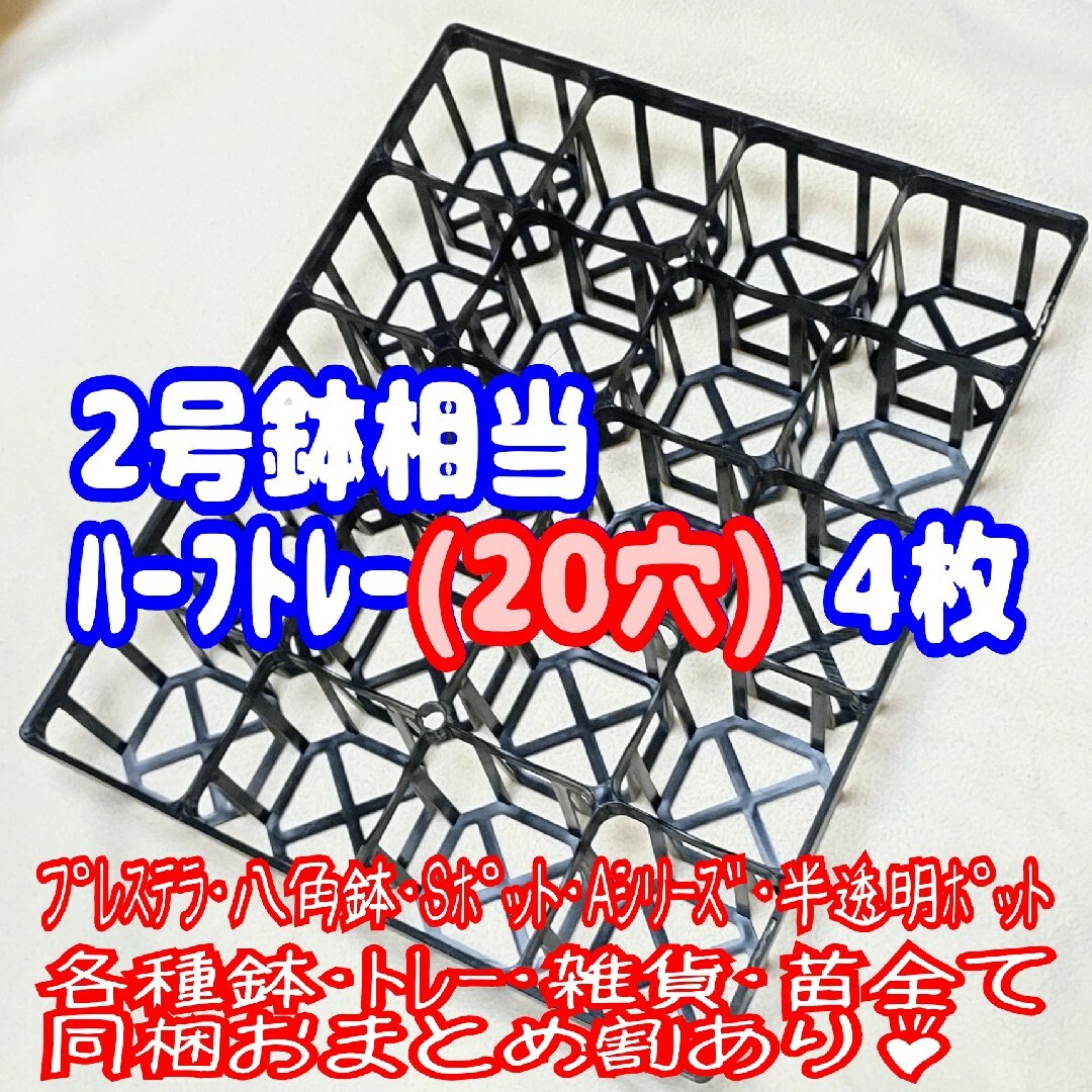 システムトレー:ハーフ】4枚!スリット鉢 2号鉢相当 プラ鉢