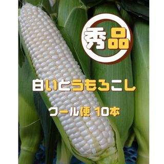 秀品ホワイトとうもろこし 10本(野菜)