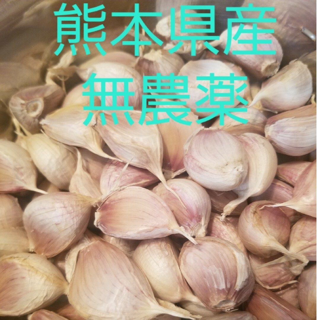 熊本県産　農薬不使用　にんにくバラ500g 食品/飲料/酒の食品(野菜)の商品写真