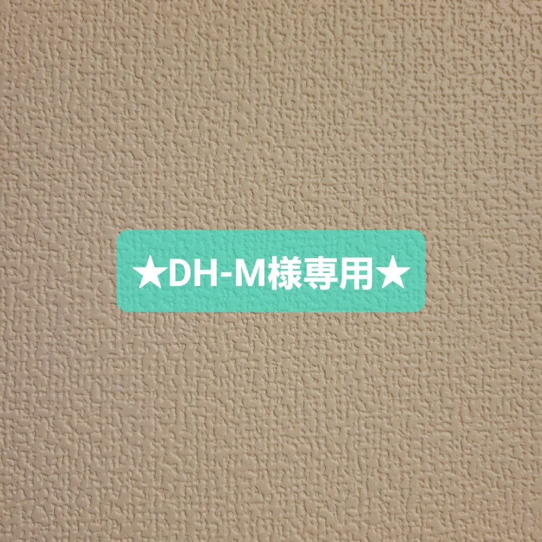 ★DH-M様専用★ その他のその他(その他)の商品写真