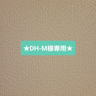 ★DH-M様専用★(その他)