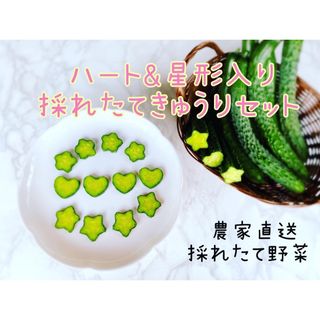 ハート&星形入りきゅうりセット(野菜)