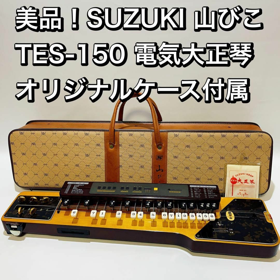 美品♪SUZUKI TES-150 山びこ 電気大正琴 エレキ琴 伴奏機能付き