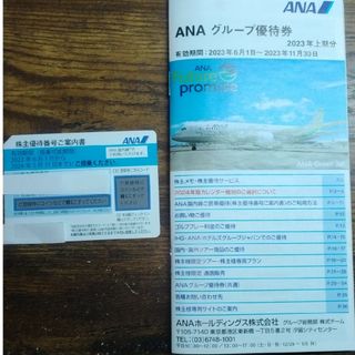 エーエヌエー(ゼンニッポンクウユ)(ANA(全日本空輸))のANA 全日空 株主優待　最新(航空券)