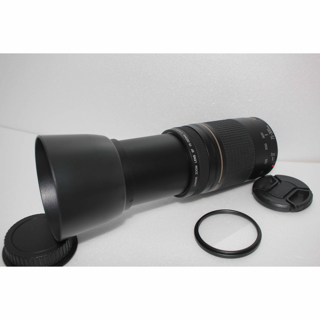 Canon - 極上品☆フード付☆迫力の300mm☆キャノン Canon EF75-300の