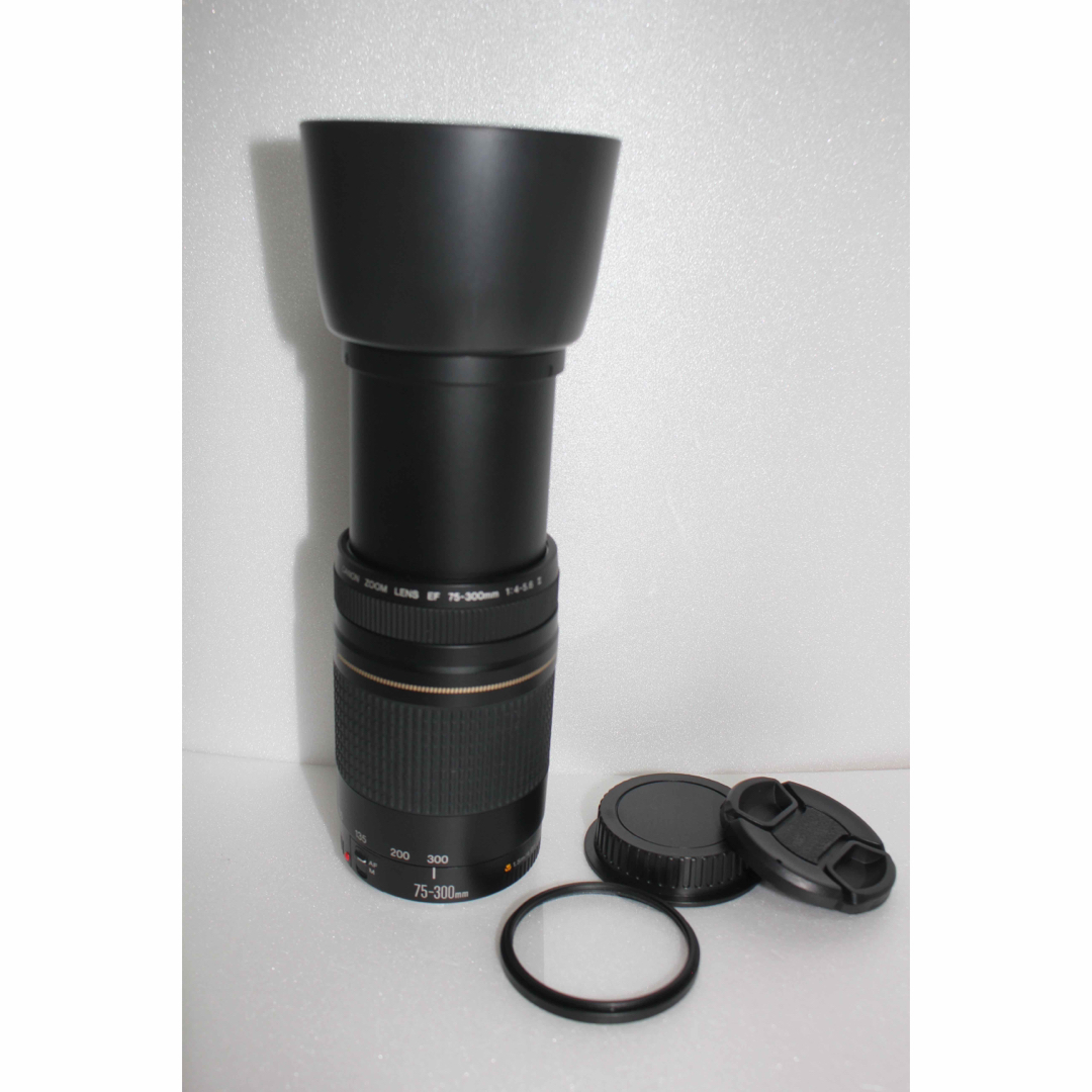 Canon - 極上品☆フード付☆迫力の300mm☆キャノン Canon EF75-300の