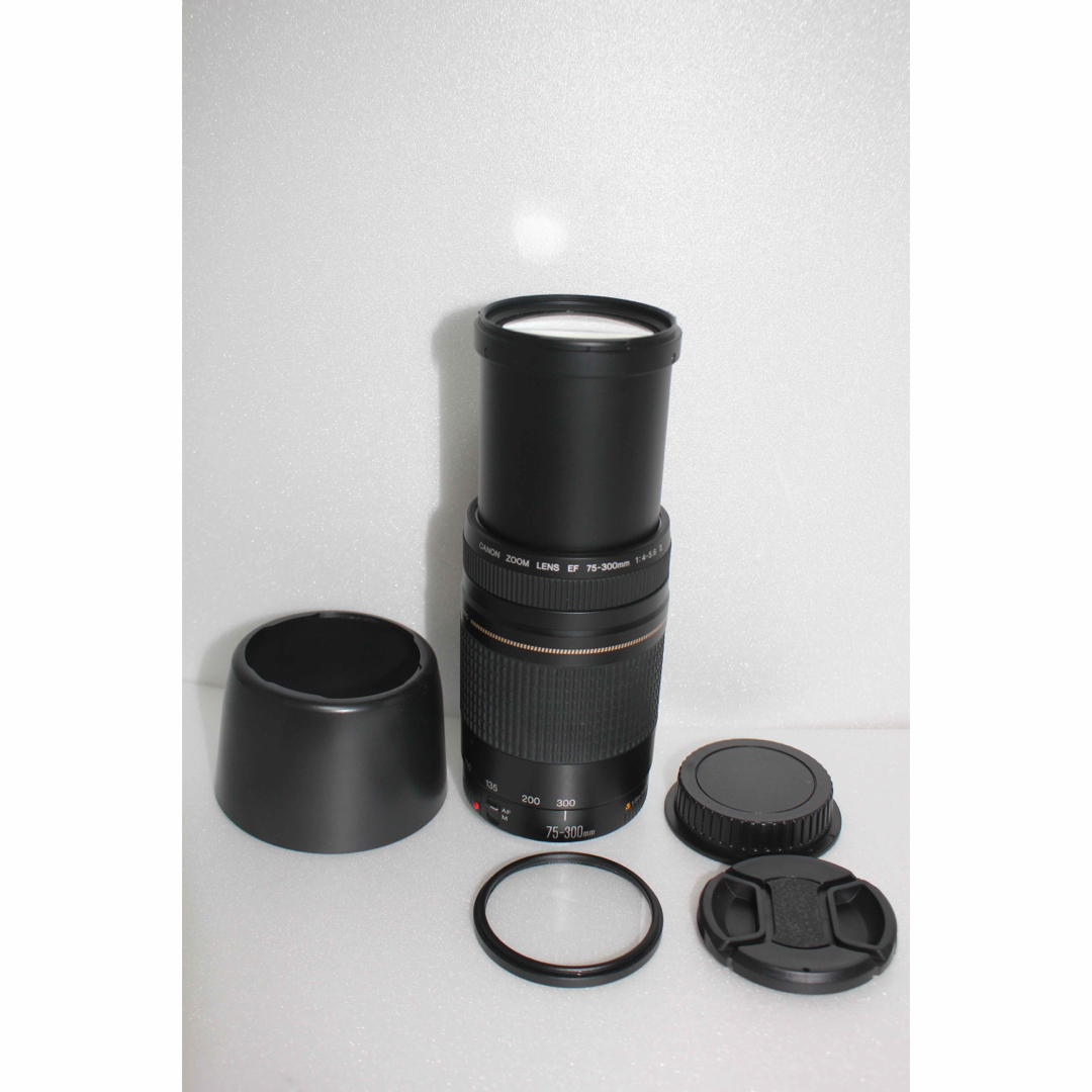 Canon - 極上品☆フード付☆迫力の300mm☆キャノン Canon EF75-300の