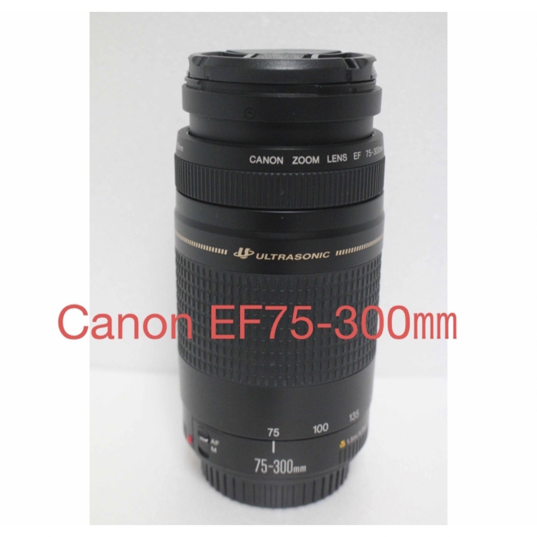 極上品☆フード付☆迫力の300mm☆キャノン Canon EF75-300-