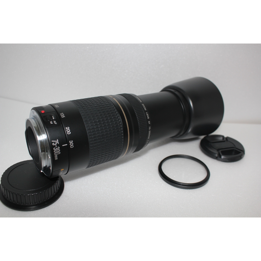 Canon - 極上品☆フード付☆迫力の300mm☆キャノン Canon EF75-300の