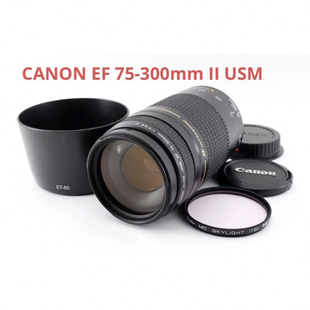 フード付き☆キャノン CANON EF 75-300mm II USM | hartwellspremium.com