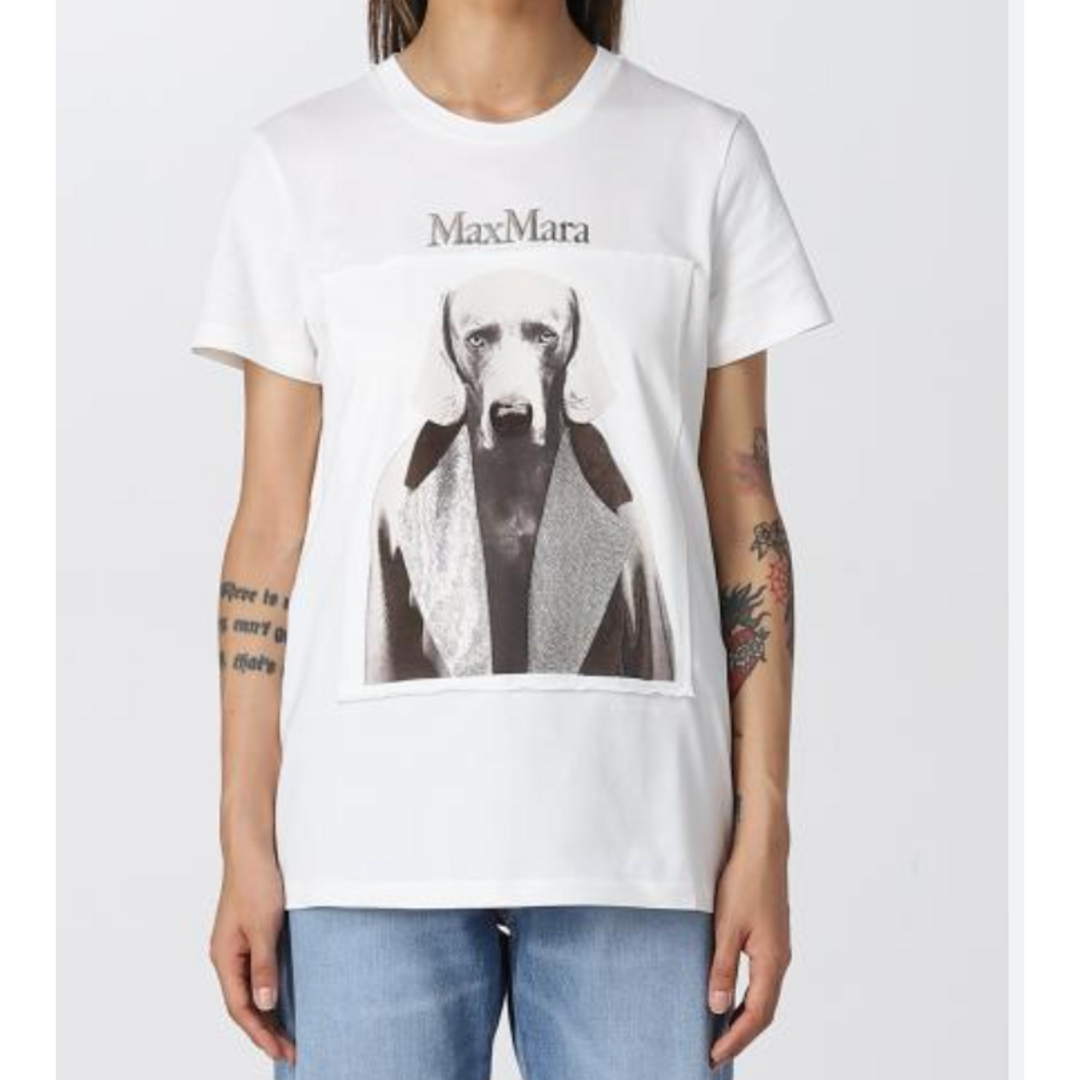 Max Mara(マックスマーラ)の新品【MAX MARA】 ピュア コットン ジャージー TシャツXS レディースのトップス(Tシャツ(半袖/袖なし))の商品写真