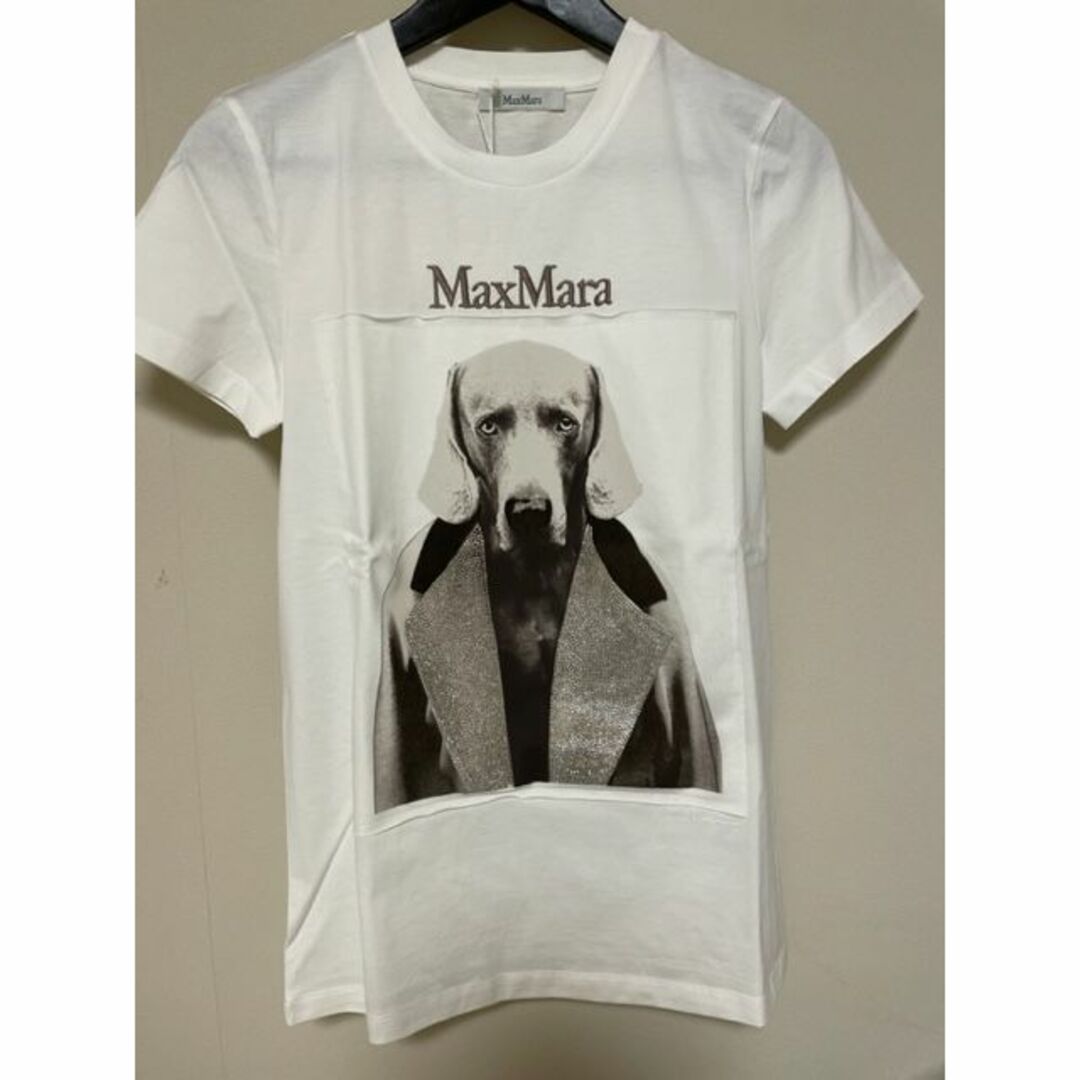 Max Mara(マックスマーラ)の新品【MAX MARA】 ピュア コットン ジャージー TシャツXS レディースのトップス(Tシャツ(半袖/袖なし))の商品写真