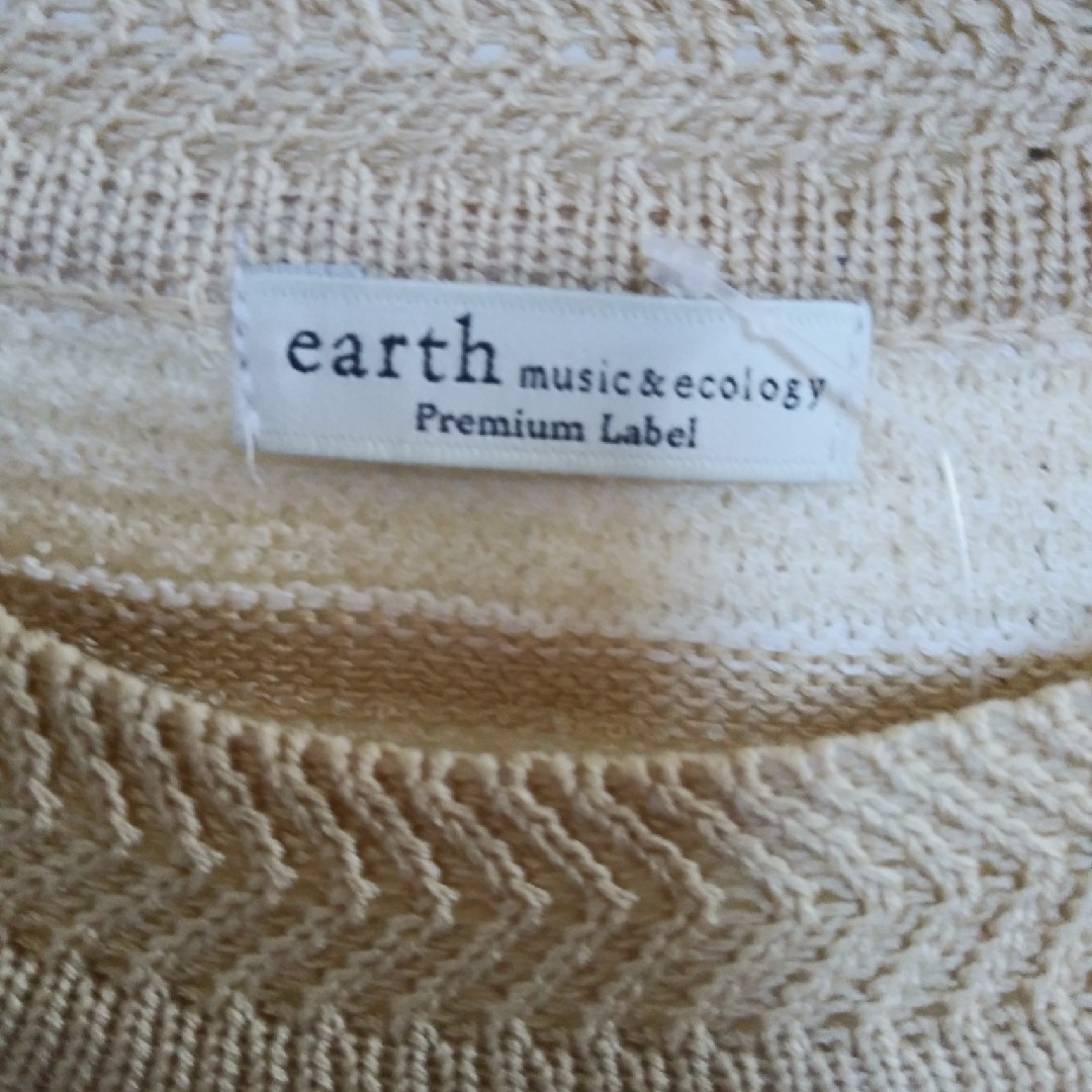 earth music & ecology(アースミュージックアンドエコロジー)のearthmusic&ecology サマーセーター レディースのトップス(ニット/セーター)の商品写真