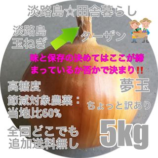 淡路島産玉ねぎ ちょっと訳あり5kg ターザン 高糖度 減農薬たまねぎ  夢玉(野菜)