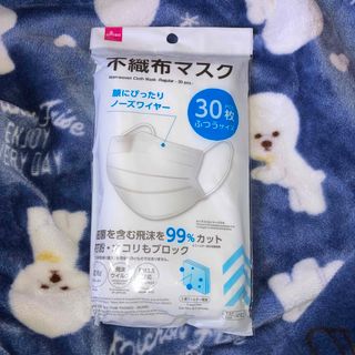 ダイソー(DAISO)のDAISO 不織布マスク ふつうサイズ 30枚入(日用品/生活雑貨)