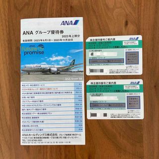 エーエヌエー(ゼンニッポンクウユ)(ANA(全日本空輸))のANA 株主優待(その他)