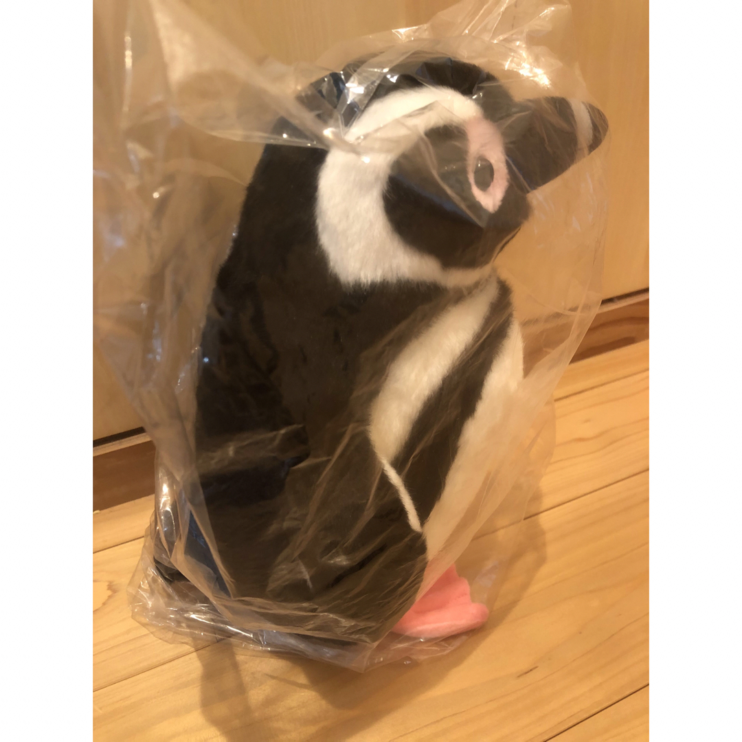 すみだ水族館 マゼランペンギン ぬいぐるみ Mサイズの通販 by タンポポ ... 【タグ付き☆MUNSING WEAR glandslam】オレンジ ペンギン M