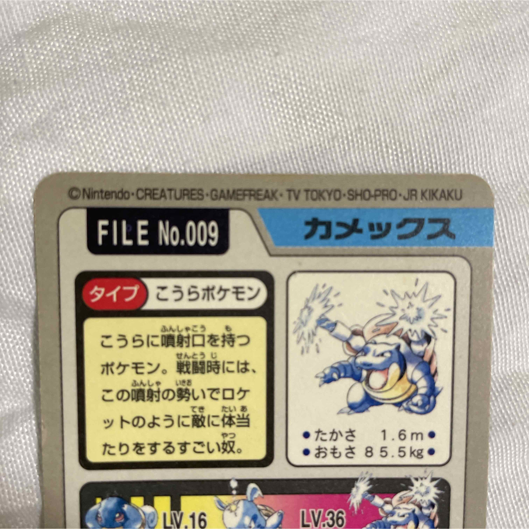 ポケモン　カードダス　No.003 009
