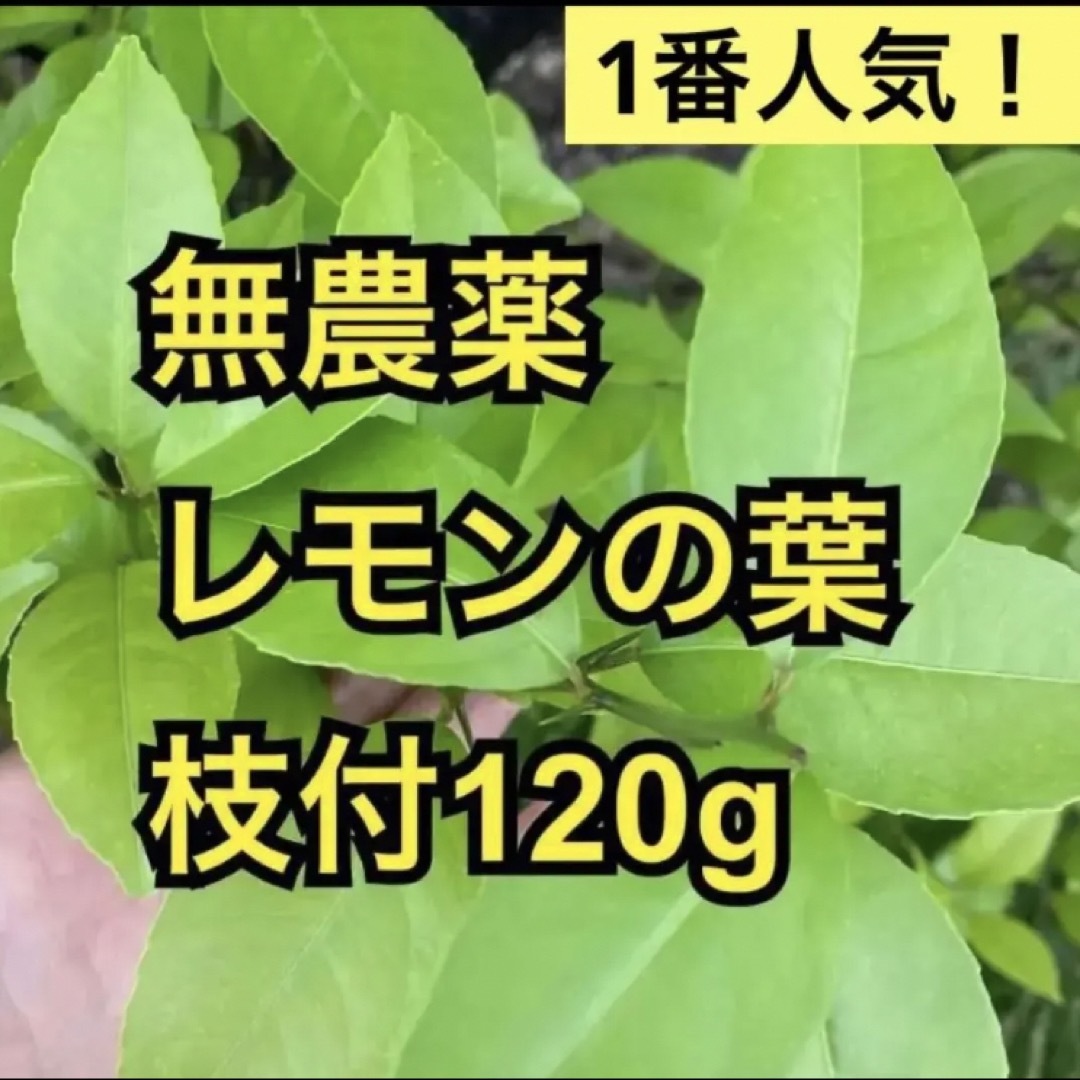 農薬不使用 レモンの葉 枝付120g - 小動物用品