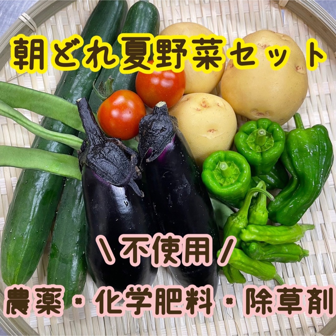兵庫県産　農薬不使用　夏野菜お楽しみセット　農家直送 食品/飲料/酒の食品(野菜)の商品写真