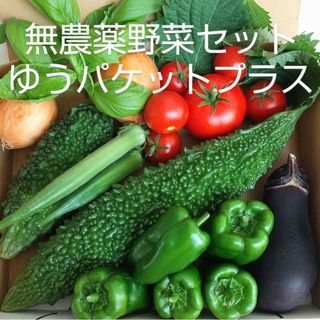 ✨無農薬野菜+玉ねぎ８種類セット✨(野菜)