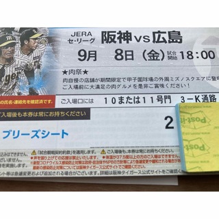 本日 阪神 vs ヤクルト グリーンシート通路側 5月18日(火) 18:00-