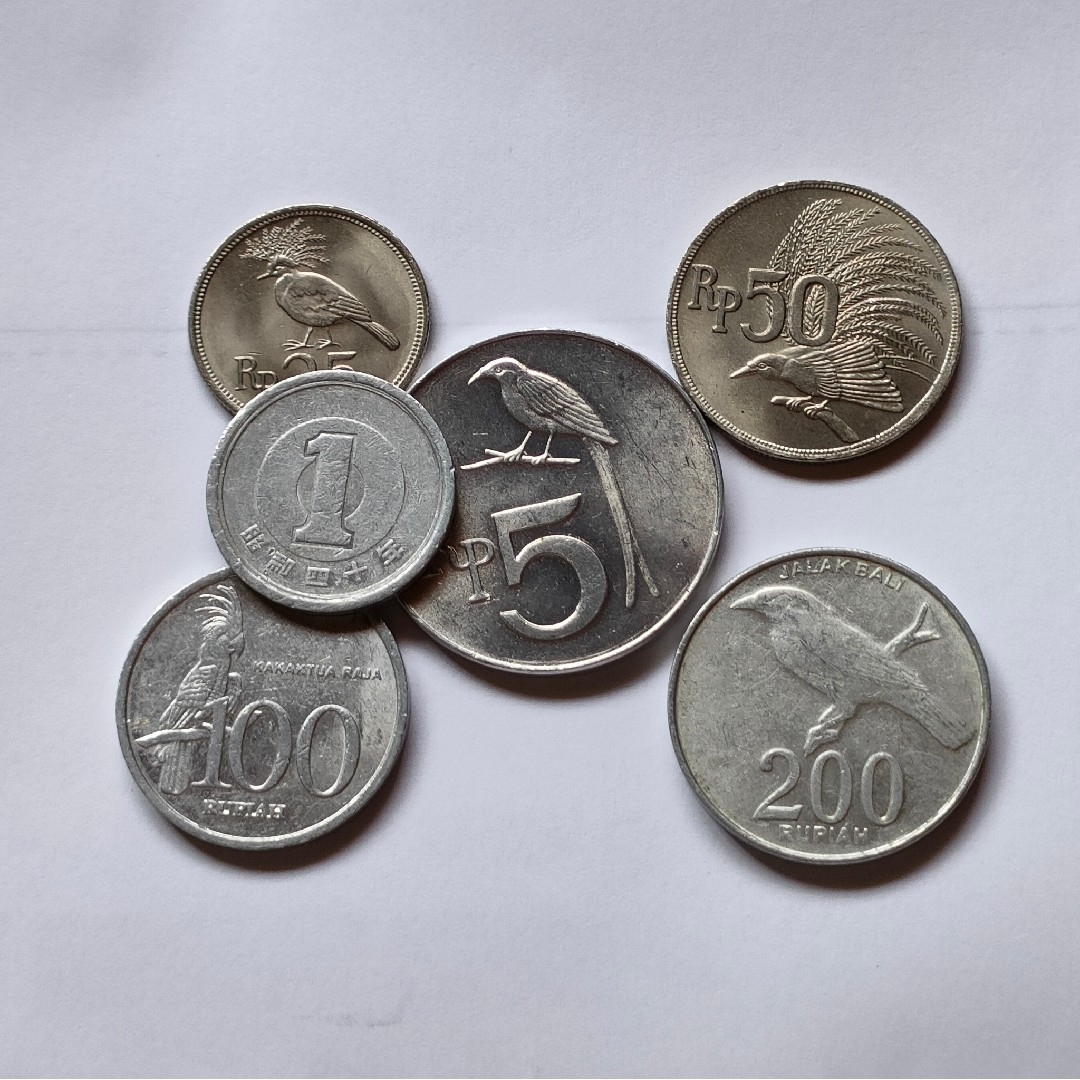 インドネシア 鳥 外国コイン 硬貨 貨幣の通販 by ナイト's shop インドネシア 鳥 外国コイン 硬貨 貨幣の通販 by ナイト's shop