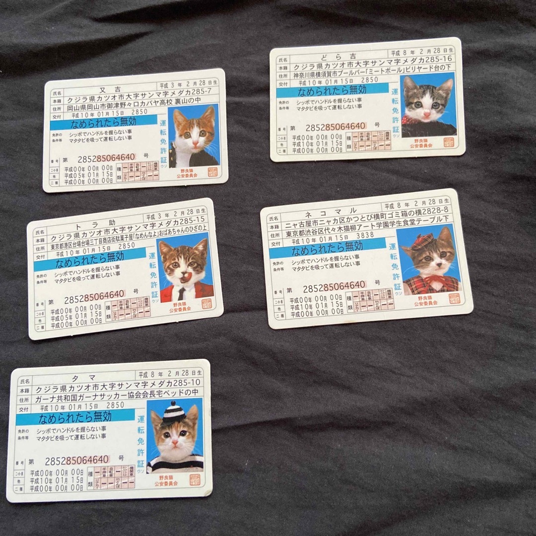 なめんなよ猫 なめ猫 免許証 カード　5枚セット エンタメ/ホビーのアニメグッズ(カード)の商品写真
