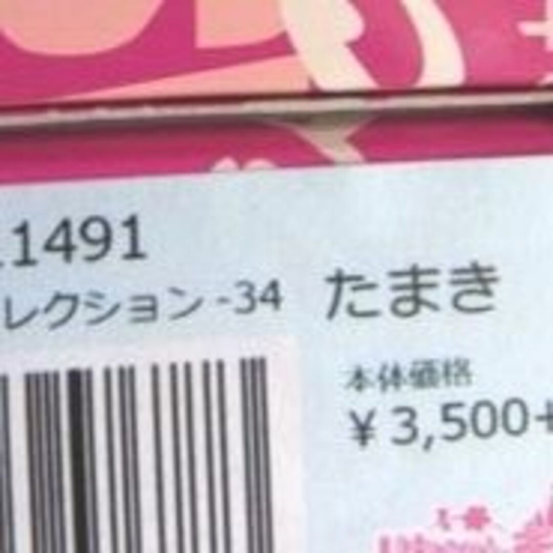 即決送料込み　たまき2体セット　リカちゃんキャッスル