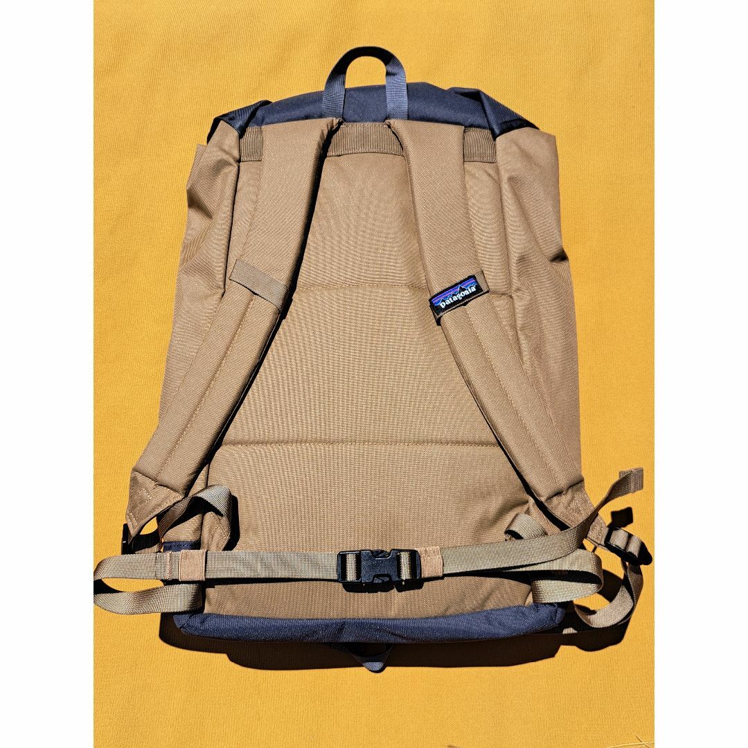 patagonia(パタゴニア)のパタゴニア Arbor Classic Pack 25LパックCOI 2020 メンズのバッグ(バッグパック/リュック)の商品写真