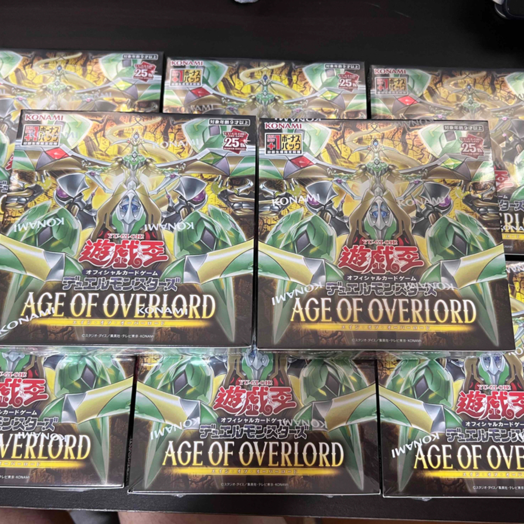 毎回完売 エイジ・オブ・オーバーロード】の開封結果・封入率を紹介