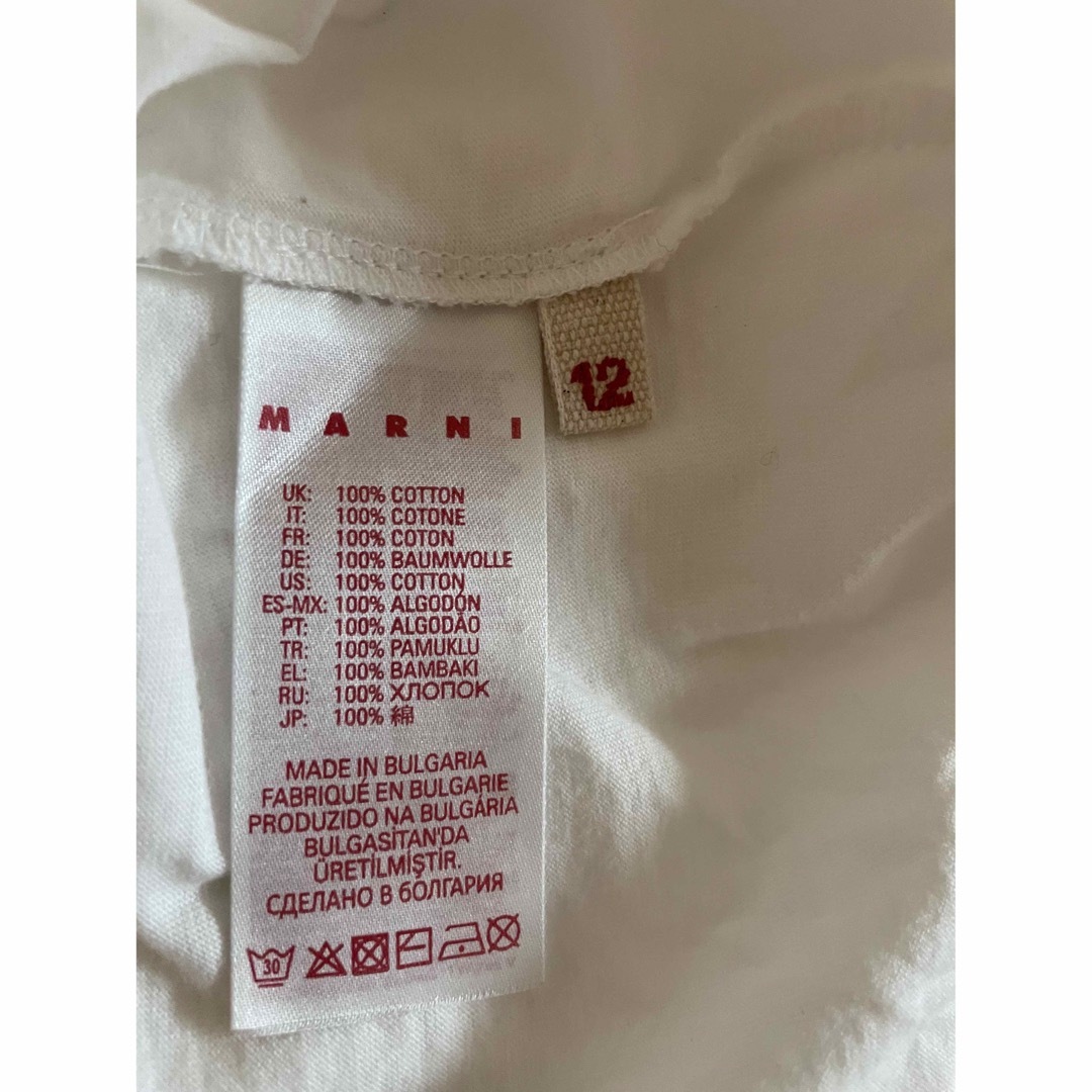 マルニ ロゴTシャツ ホワイト 12