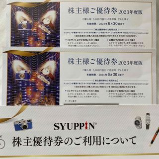 シュッピン 株主優待券 2枚  ショッピング 優待(ショッピング)