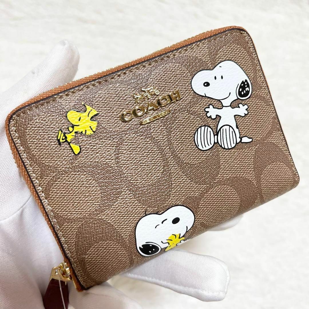 COACH 新品未使用✨COACH スヌーピーピーナッツ ウッドストック キャメルce704の通販 by アビ's shop｜コーチならラクマ