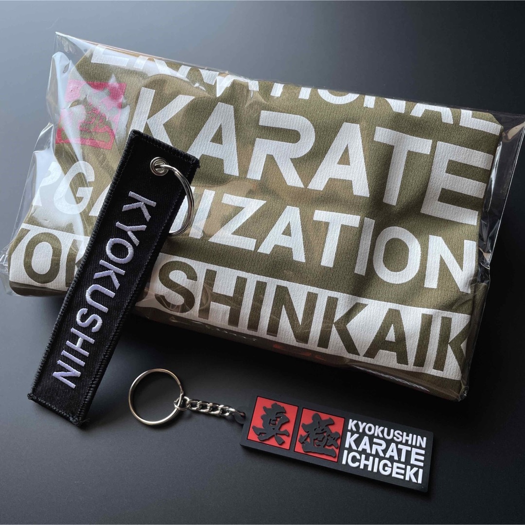 Tシャツセット　⭕️極真空手◆多数出品　kyokushin karate