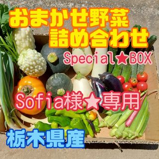 【Sofia様★専用】Special★BOX❗(野菜)