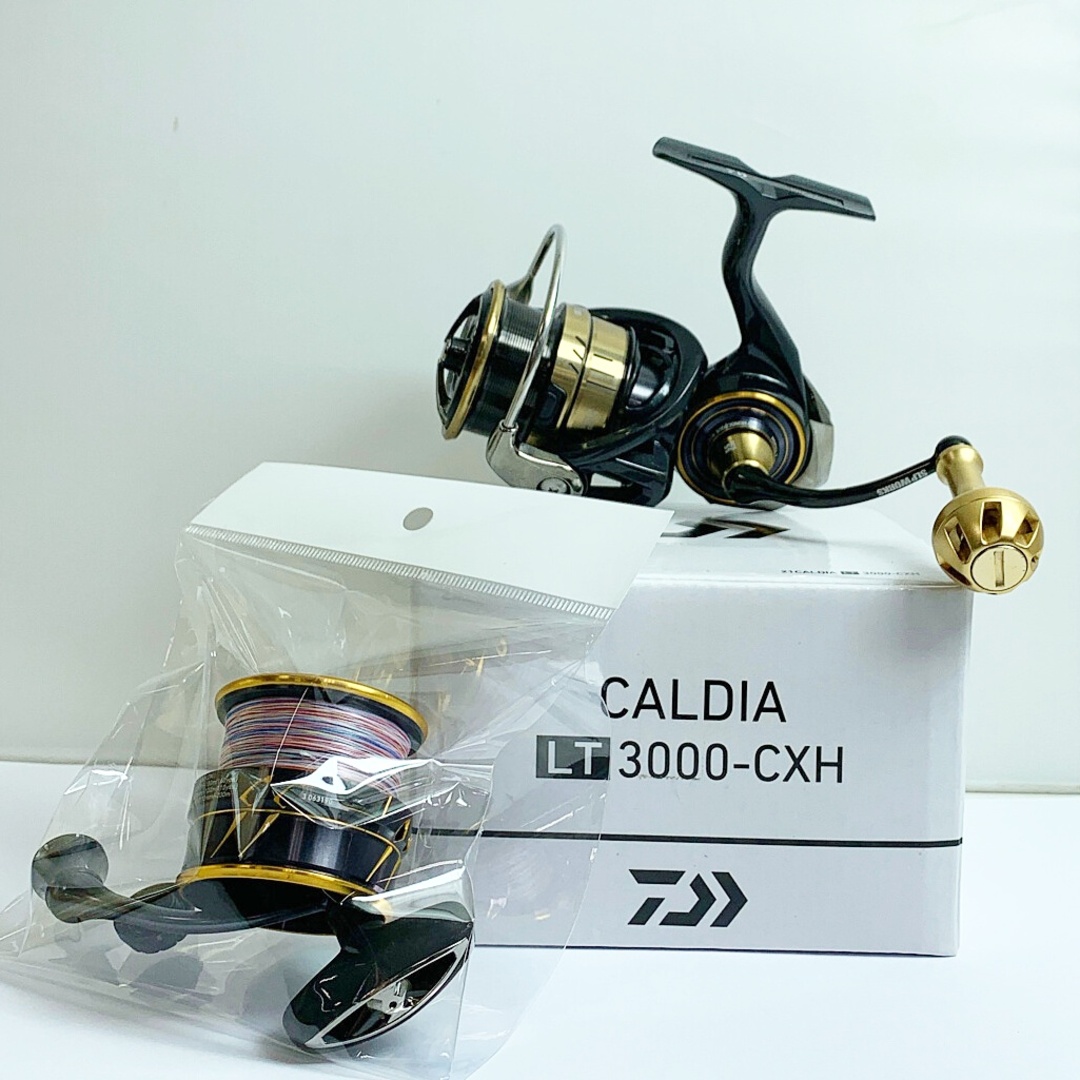 Daiwa ダイワ 21CALDIAカルディア LT3000-CXH 未使用品-