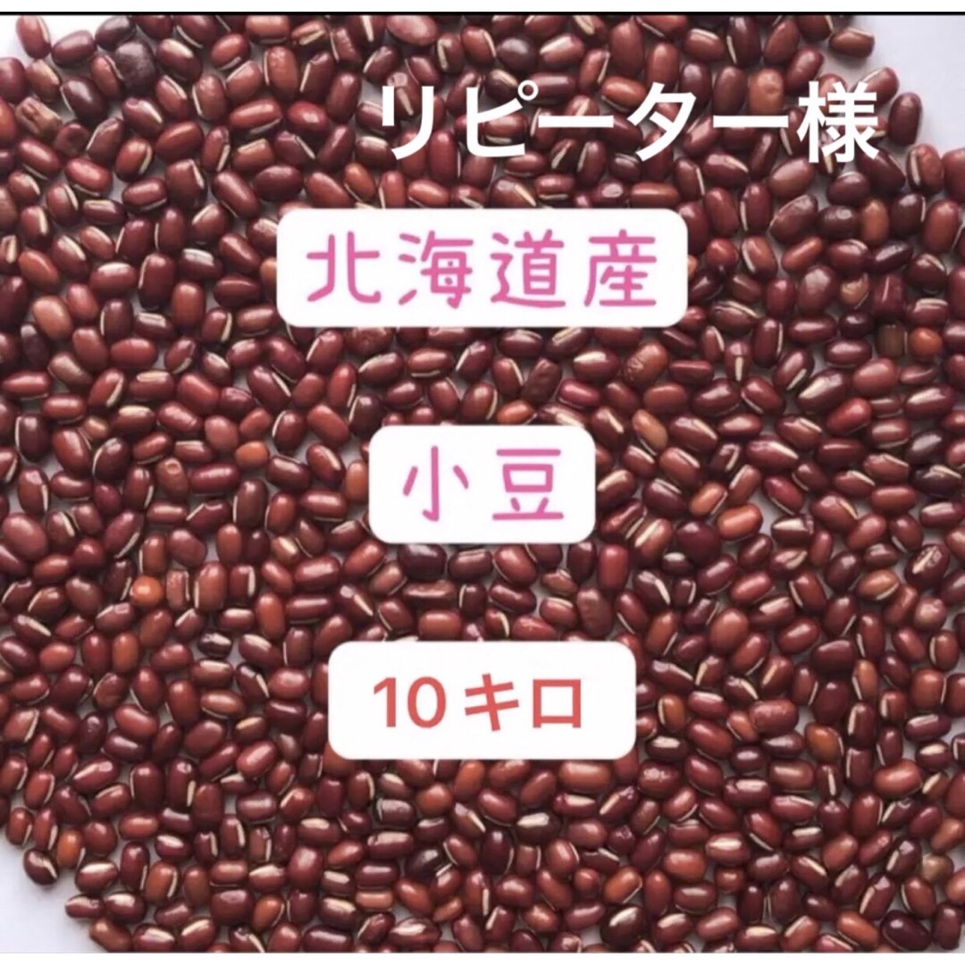 北海道産小豆(あずき)　無農薬栽培　10キロ-