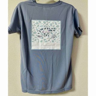 シナモロール(シナモロール)のシナモロール　Tシャツ　Mサイズ　ドライ　アニマル　サンリオ(キャラクターグッズ)