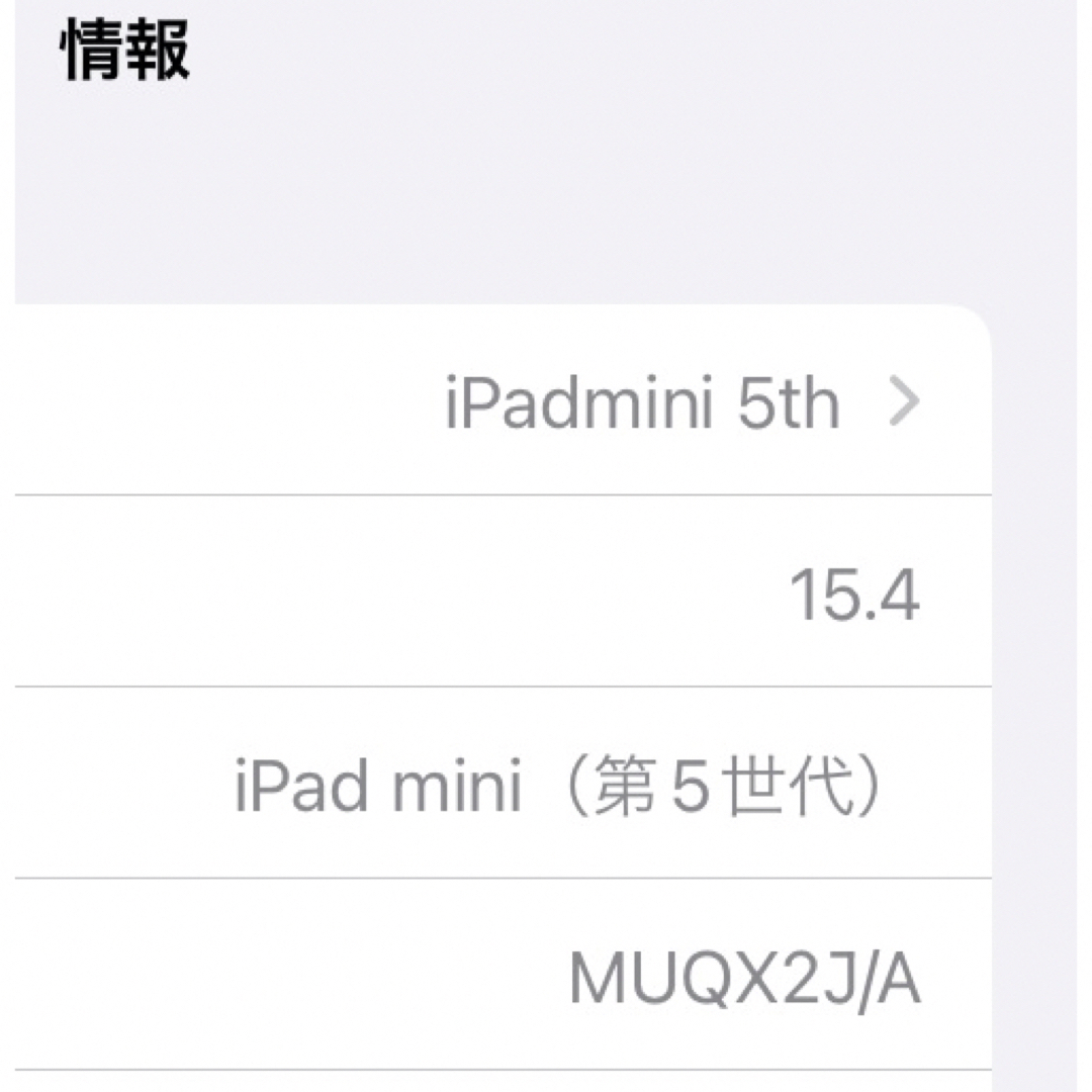 iPad mini 5 4