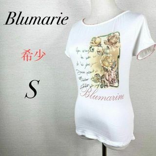 ブルマリン(Blumarine)のブルマリン　プリントTシャツ　ラウンドネック　襟袖レース　白　薄手　ガーリー(Tシャツ(半袖/袖なし))