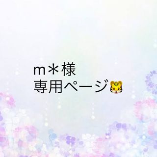 m＊様専用ページ(その他)